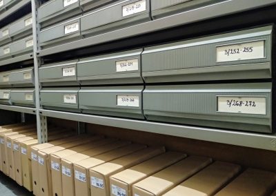 Opracowane materiały archiwalne na wydzielonych regałach w magazynie bibliotecznym.